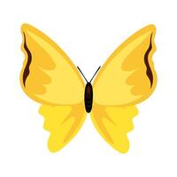 beautiful butterfly yellow insect flat style icon vector