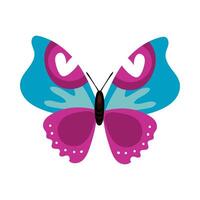 beautiful butterfly purple insect flat style icon vector