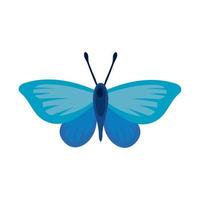 beautiful butterfly insect blue flat style icon vector