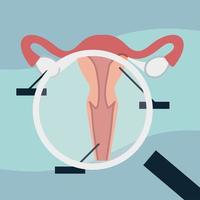 examine uterus with magnifier vector