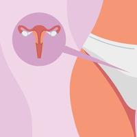 ginecología útero cuerpo vector
