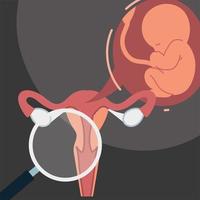analysis uterus magnifier vector