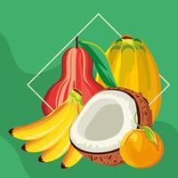 fresh tropical fruits vector