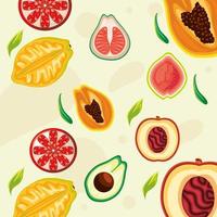 tropical fruits background vector