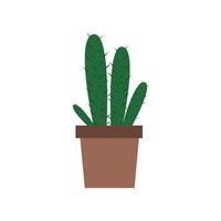 potted plant decoration vector