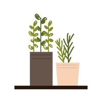 potted plants decoration vector