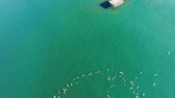 antennskott av surfare som paddlar ut för protest mot havet. video