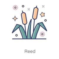 Reed Plant Design vector