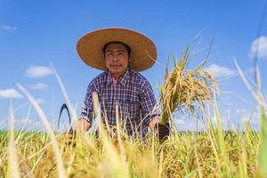 Granjero asiático que trabaja en el campo de arroz bajo un cielo azul foto