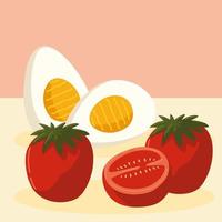 tomatoes and eggs vector