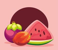 tropical fruits fresh vector