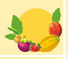 tropical fruits label vector