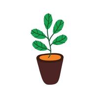 house plant in ceramic pot icon vector