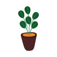 house plant in ceramic pot icon vector