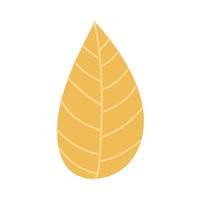 autumn season leaf plant icon vector