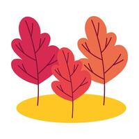 autumn trees cultivating plants ecology scene vector