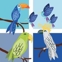 tropical birds cartoon vector