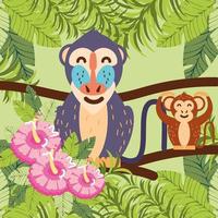 monkey baboon tropical vector