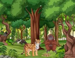 Tropical rainforest scene with various wild animals vector