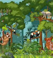 Tropical rainforest scene with various wild animals vector