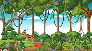 Selva tropical en escena diurna con diferentes animales salvajes. vector