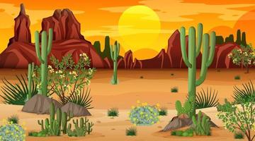 Desert forest landscape at sunset time scene with many cactuses vector