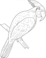 outline cockatoo on a branch pattern perfect for coloring page vector