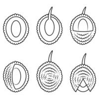 Collection of outline lychees. Asian fruits for juice and vegetarian food vector