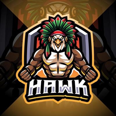 Hawk esport mascot logo design