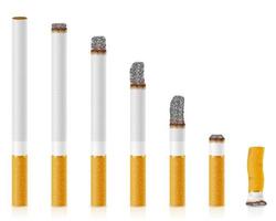 cigarettes with white filter stock vector illustration isolated on background