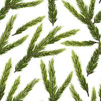 Spruce seamless pattern. Green fir vector hand drawn background