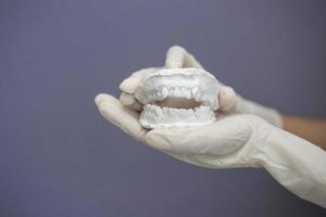 Dentist hand with plaster model photo