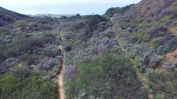 Aerial shot of a young man trail running on a scenic hiking trail.