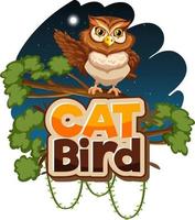 Owl cartoon character at night scene with Cat Bird font banner isolated vector