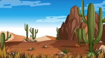 Desert forest landscape at daytime scene with many cactuses vector
