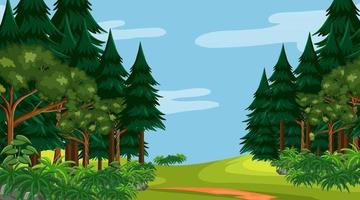 Rainforest or tropical forest at daytime scene vector