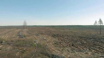 Waldrestaurierung Ökologie Erhaltung Luftaufnahmen