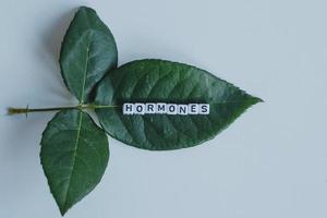 Hormones word cubes on a white background photo