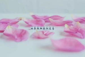 Hormones word cubes on a white background photo
