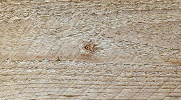 Wood background texture photo