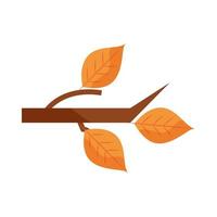 autumn branch tree leaves foliage nature flat icon with shadow vector