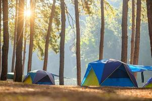 bailando acampar en el bosque de pang ung, provincia de mae hong son, tailandia foto