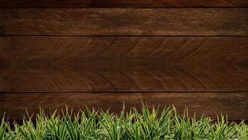 Fresh spring green grass and leaf plant over wood fence background. Wood background Grass frame photo
