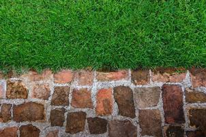 grass and brick background photo