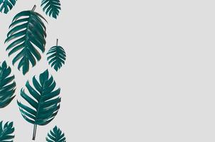 Concept art Minimal background design Leaves monster blue Tropical and leaves in vibrant bold gradient trendy Summer Tropical Leaves Design photo