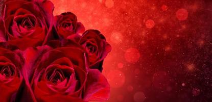 Banner Red rose bokeh red background Have space to enter text photo