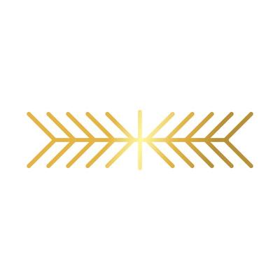 elegant border frame decoration golden gradient style icon