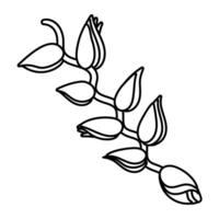 beautiful heliconia flower line style icon vector