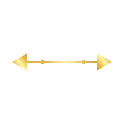 elegant arrow frame decoration golden gradient style icon