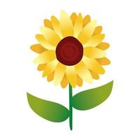 beautiful sunflower garden gradient style icon vector